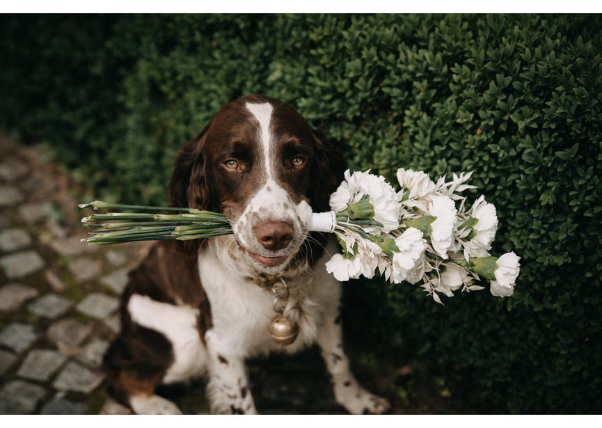 Huwelijk_Jolien&Laury_09017